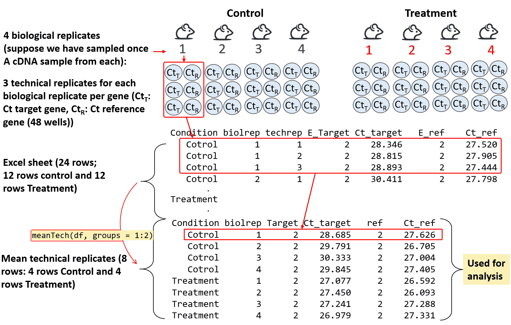 Figure 3: This schematic illustrates an experimental design with four biological replicates for both Control and Treatment conditions, assuming a single sampling time point, where cDNA samples were analyzed by qPCR. The diagram details the initial dataset containing technical replicates (three technical replicates shown for Biological Replicate 1 under Control, with example amplification efficiencies (E) and cycle threshold (Ct) values for both target and reference genes) and summarizes the data processing step where technical replicates are averaged using the command meanTech(df, groups = 1:2). The resulting condensed dataset, comprising eight rows (one per biological replicate for each condition), is the final data structure used for the downstream relative expression analysis, with example averaged Ct values for target and reference genes displayed for all four Control and four Treatment biological replicates.